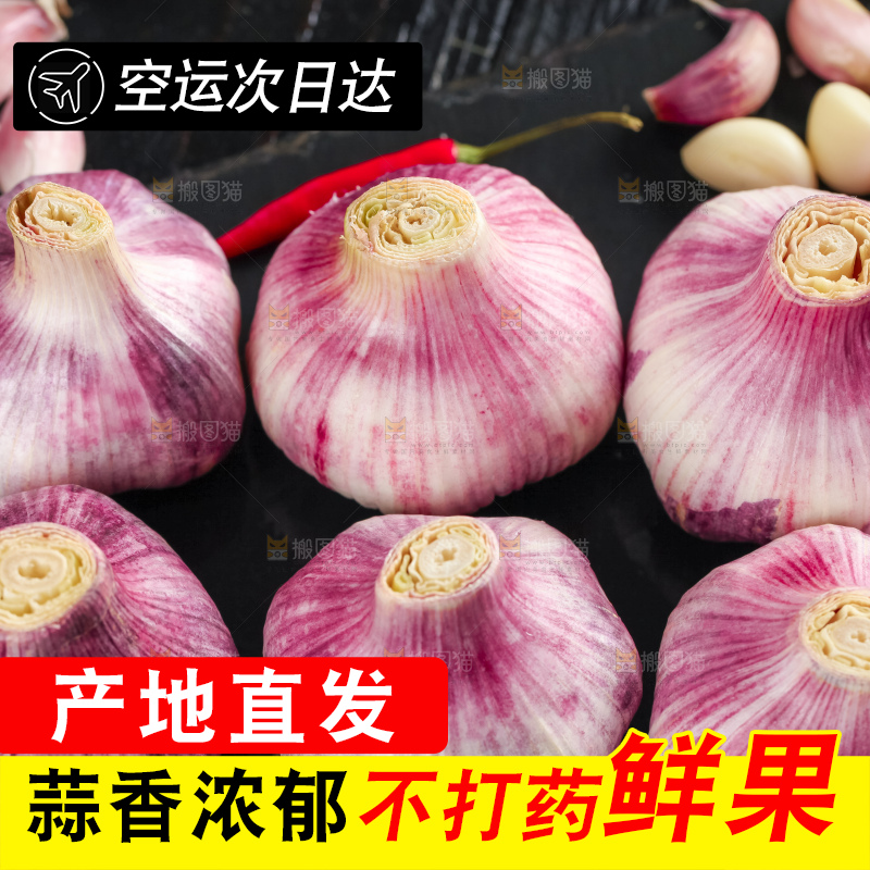 黑石板上放着紫皮蒜