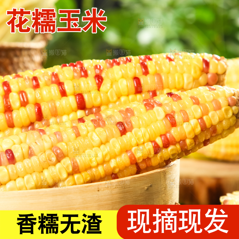 盘子里装着糯玉米
