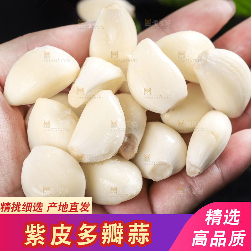 手里拿着紫皮多瓣大蒜