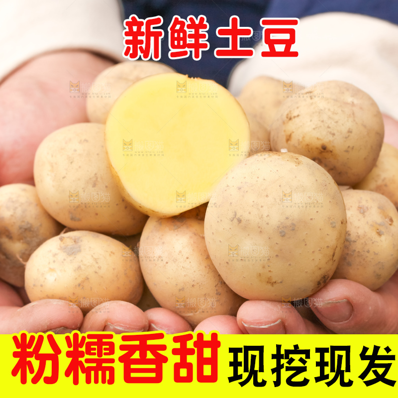 手里拿着云南小土豆