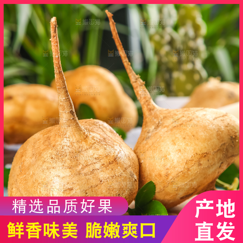 木垫上的白凉薯