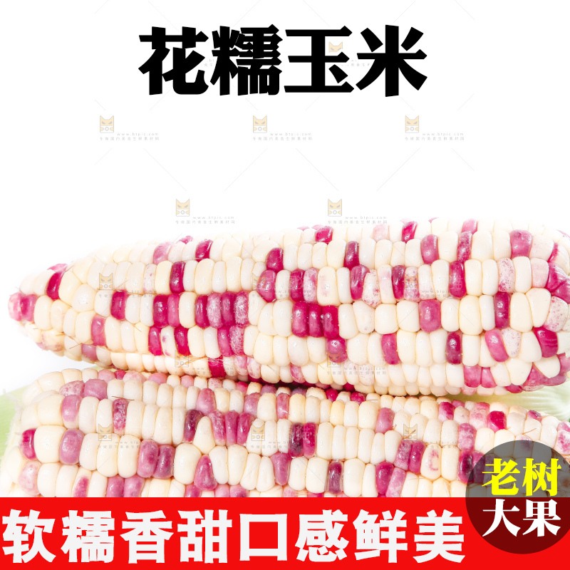 白底上放着剥皮的花玉米