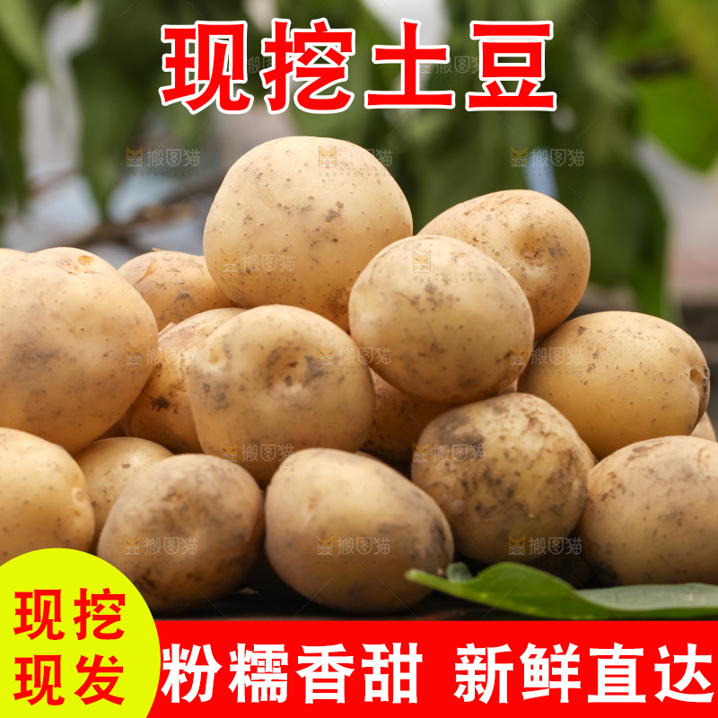 木板上的小土豆