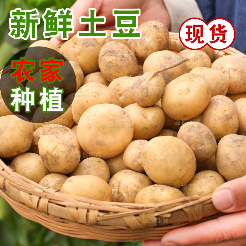 竹篮里放着云南小土豆