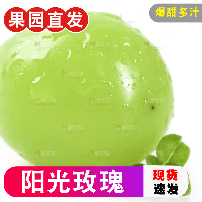 白底上放着阳光玫瑰