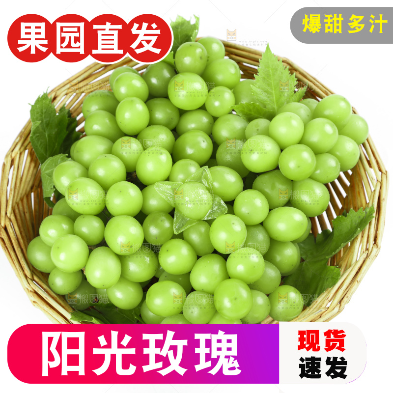 篮子里装着阳光玫瑰