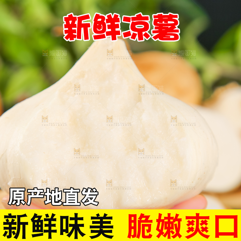 手里拿着白凉薯