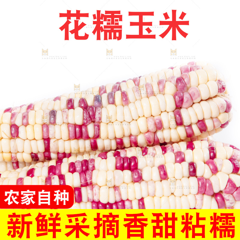 白底上放着剥皮的花玉米