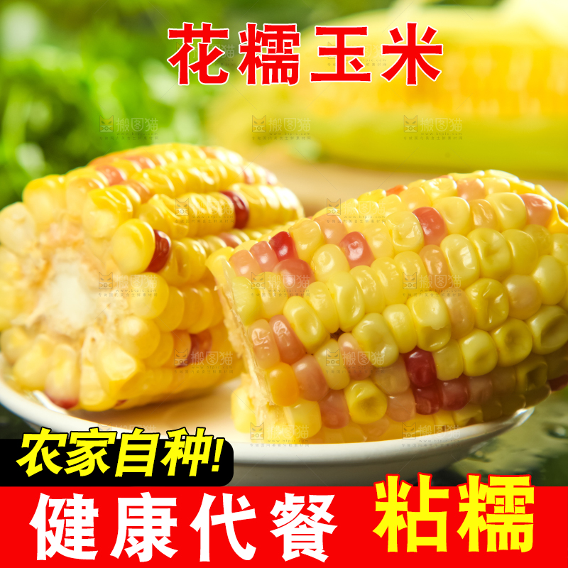 盘子里装着糯玉米