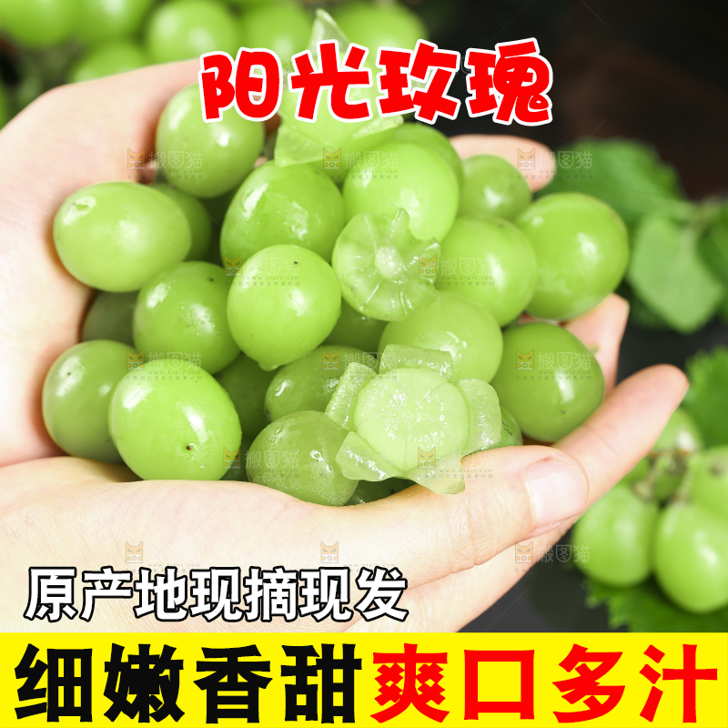 手里拿着无籽青提