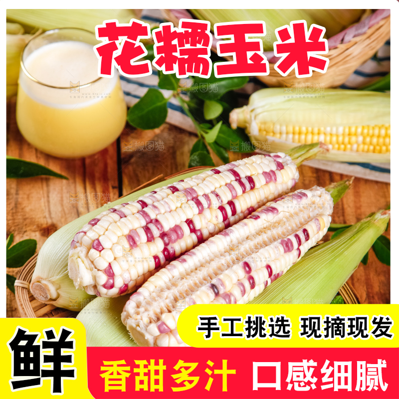 竹篮里放着剥皮的香甜糯玉米