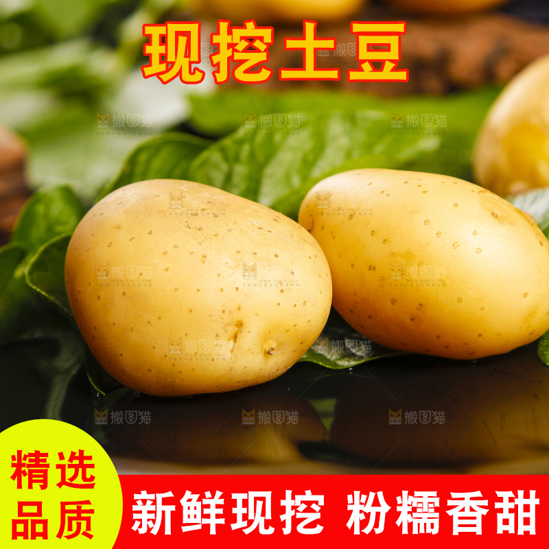 黑石垫上放着云南小土豆