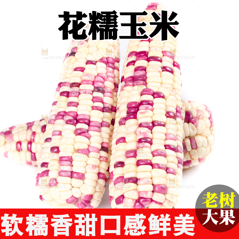 白底上放着花糯玉米