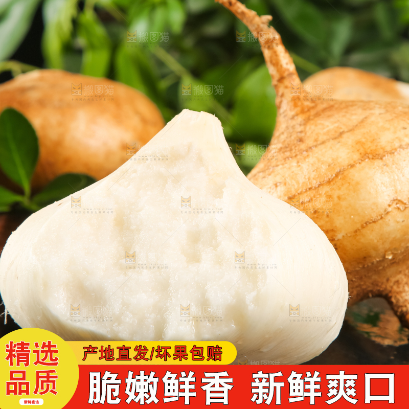 黑石板上的白凉薯
