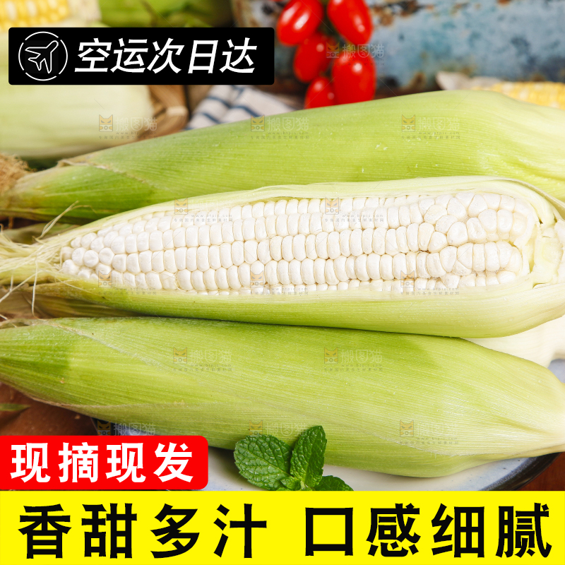盘子里装着牛奶玉米