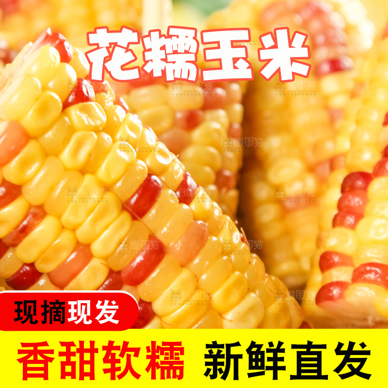 竹笼里装着糯玉米