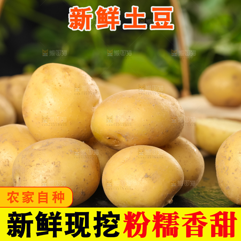 黑石板上放着小土豆