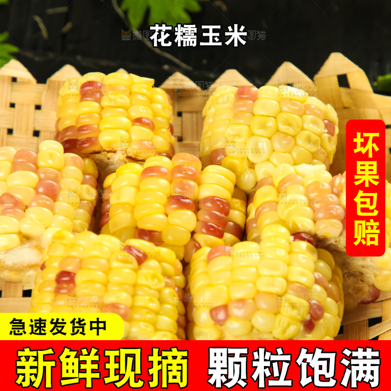 竹篮里放着糯玉米
