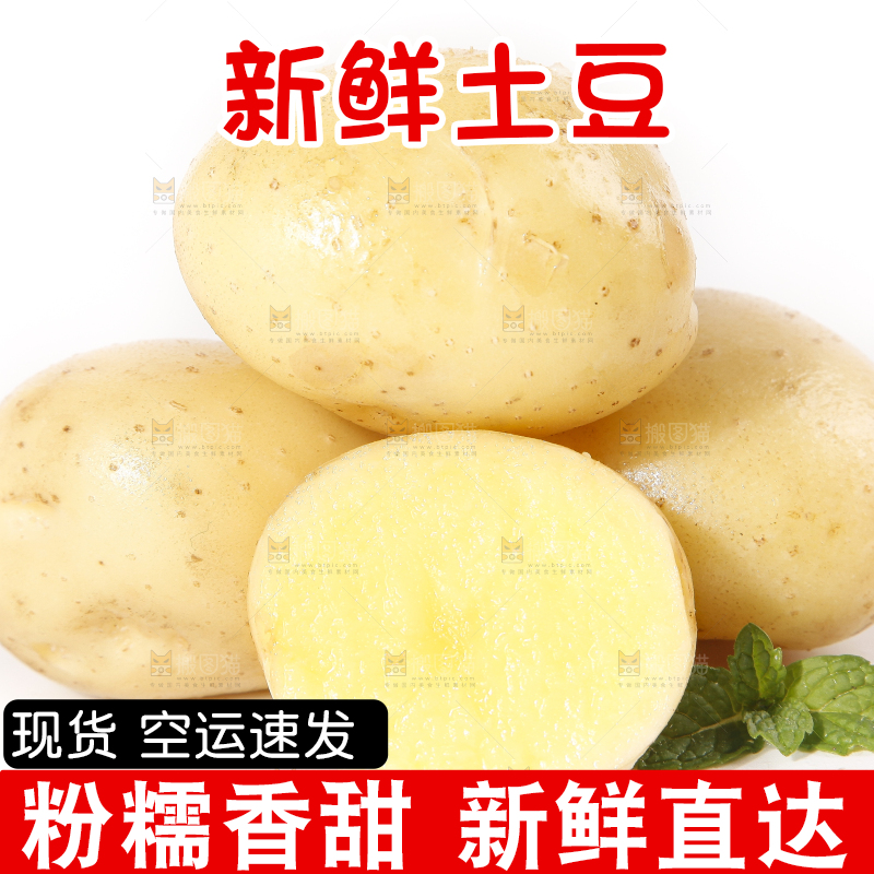 白底上的土豆