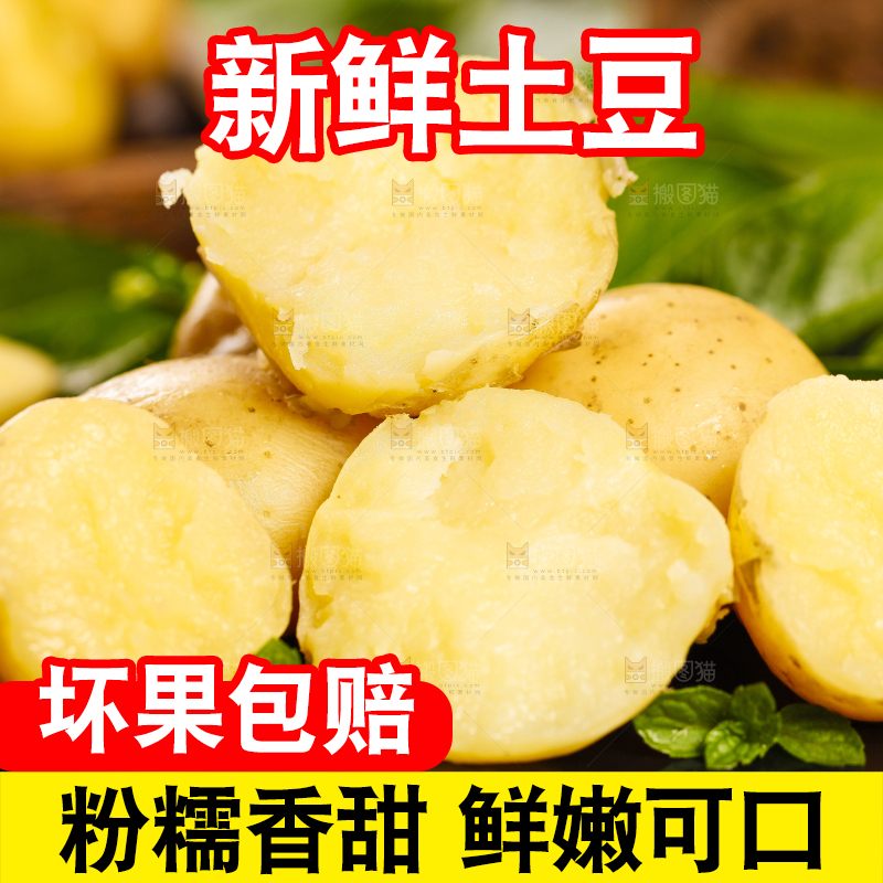 黑石板上放着小土豆