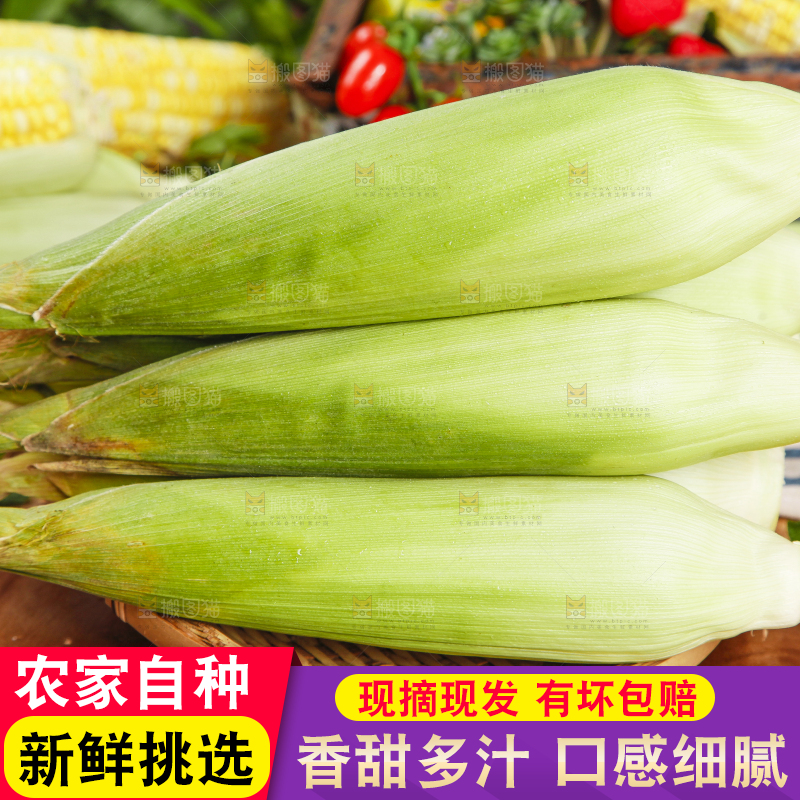 竹篮里放着牛奶玉米