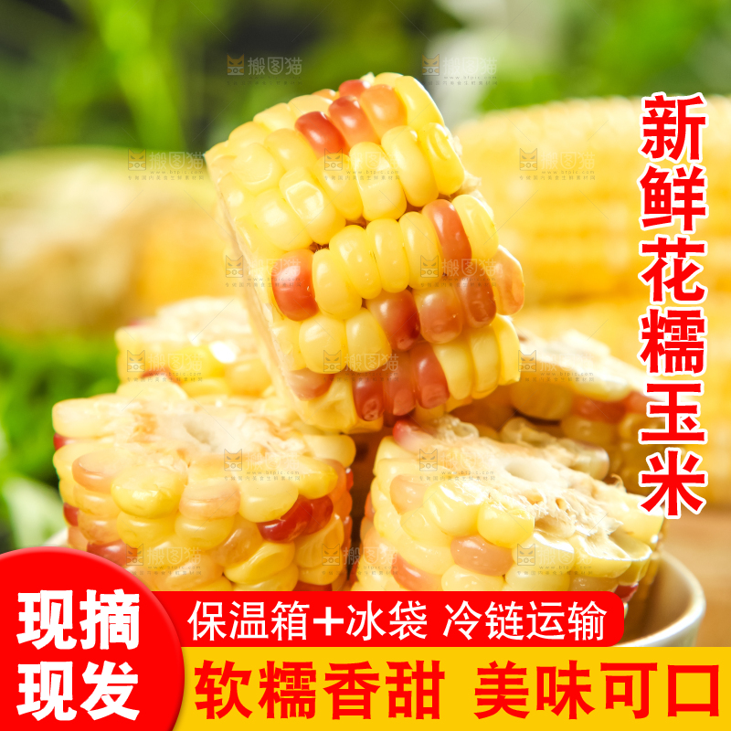 碗里装着糯玉米