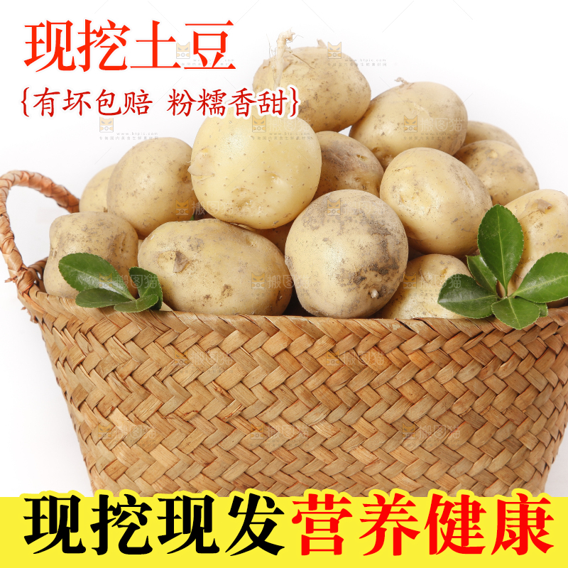 竹篮放着小土豆