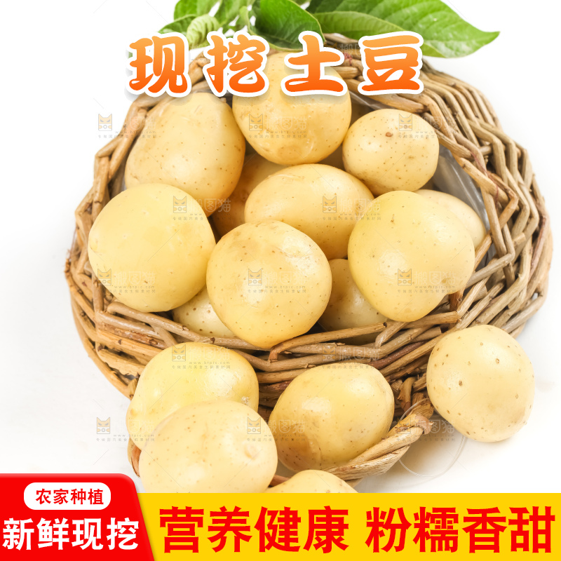 竹篮里放着云南小土豆
