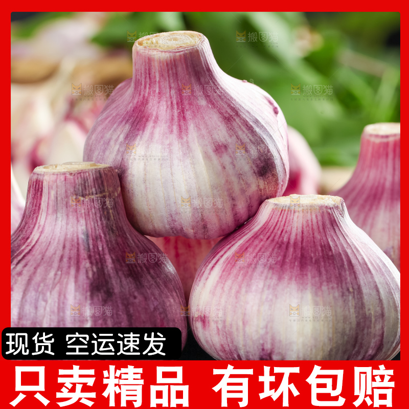 黑石板上放着紫皮蒜