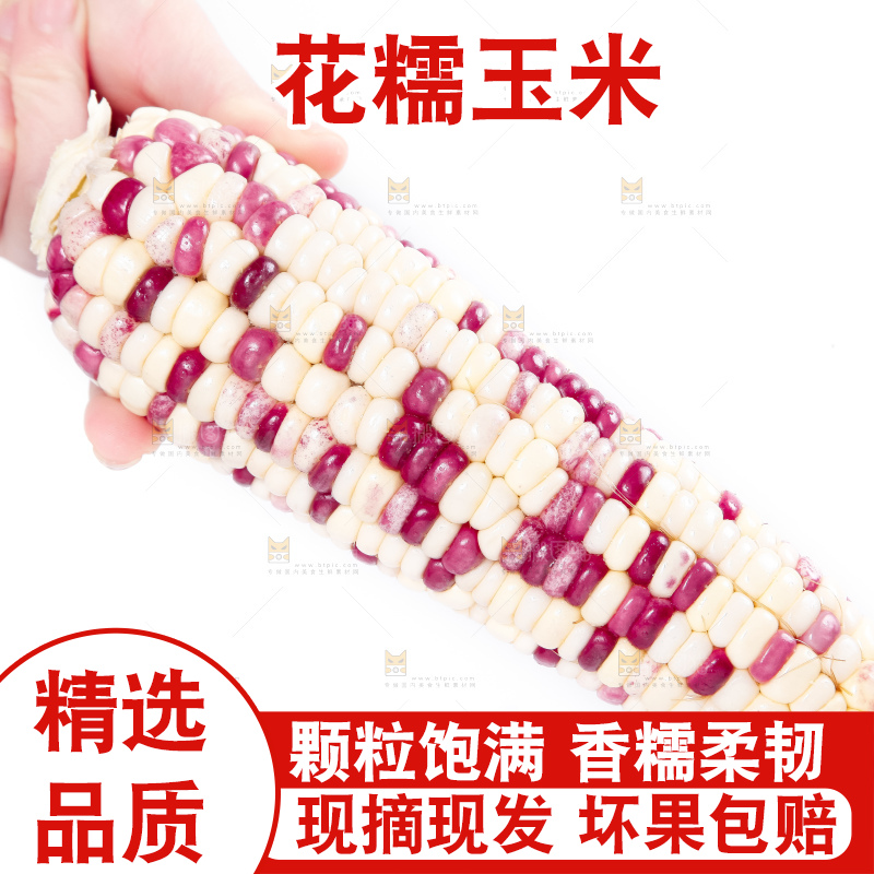 手里拿着剥皮的花玉米