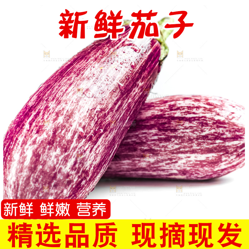 白底上的茄子