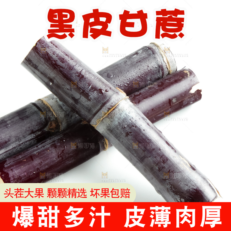 白底上放着甘蔗