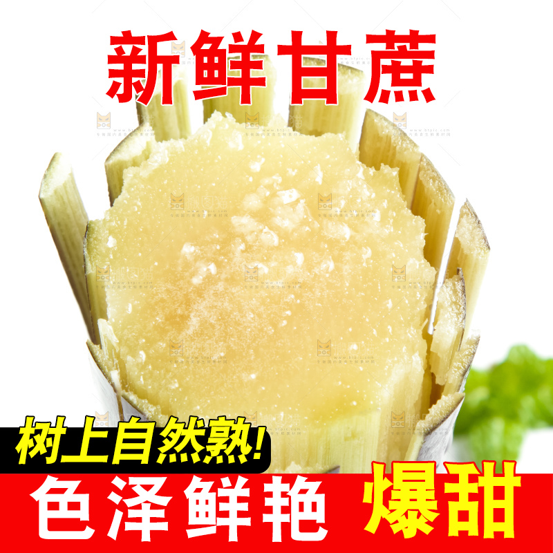 白底上放着甘蔗