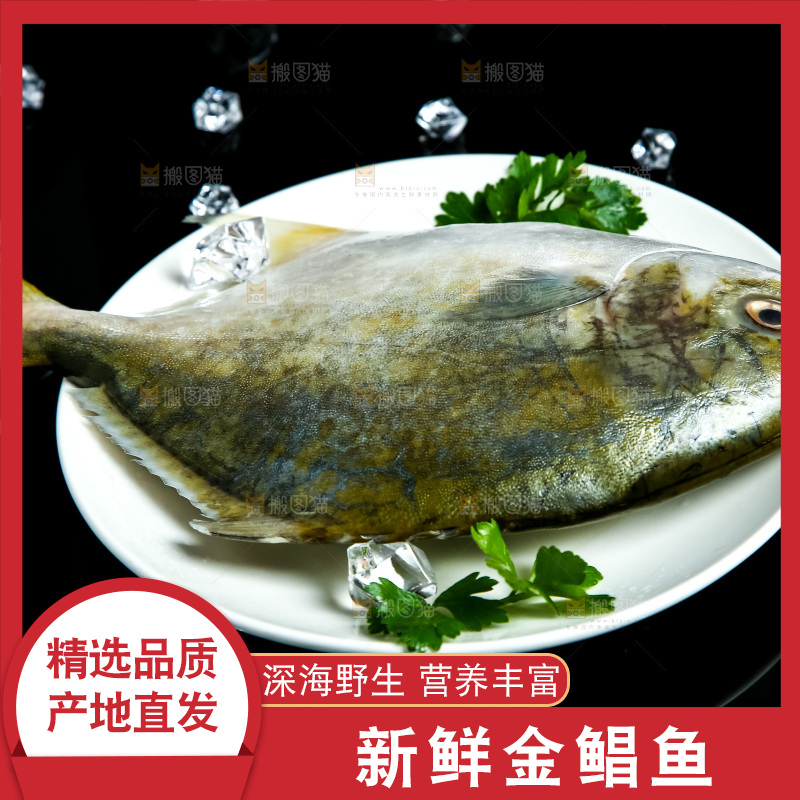 黑底上放着一盘金鲳鱼