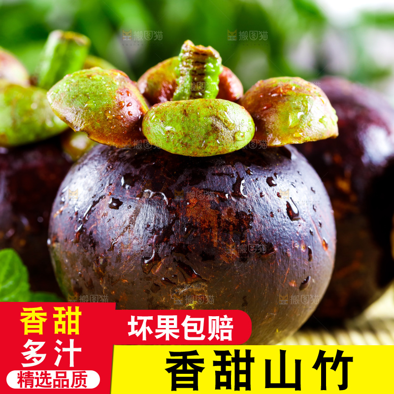 木底上的山竹