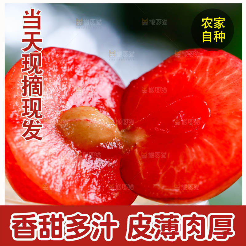 新鲜樱桃放在浅底上