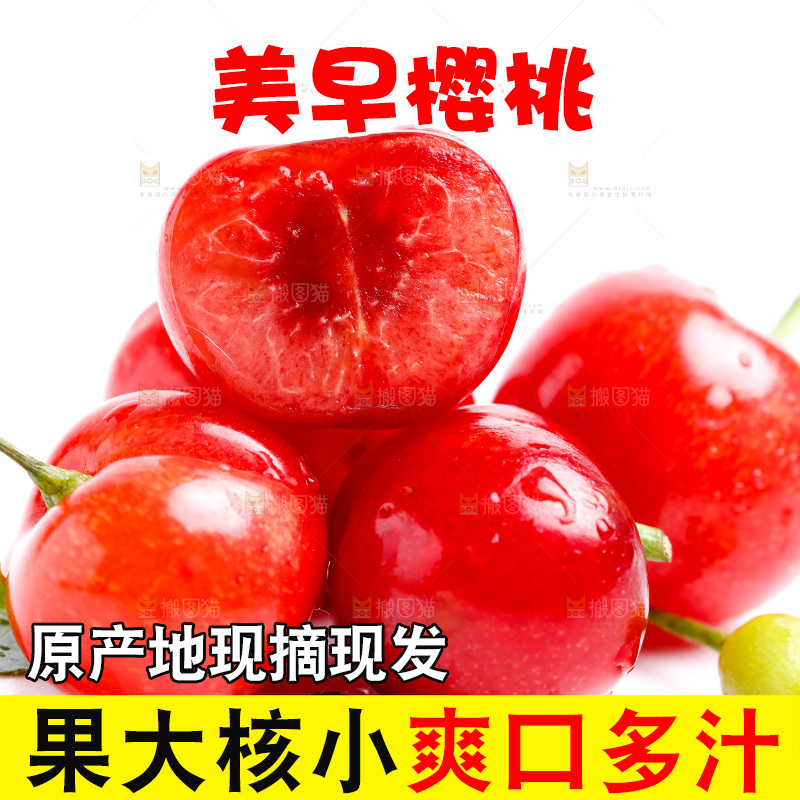 新鲜樱桃放在白底上