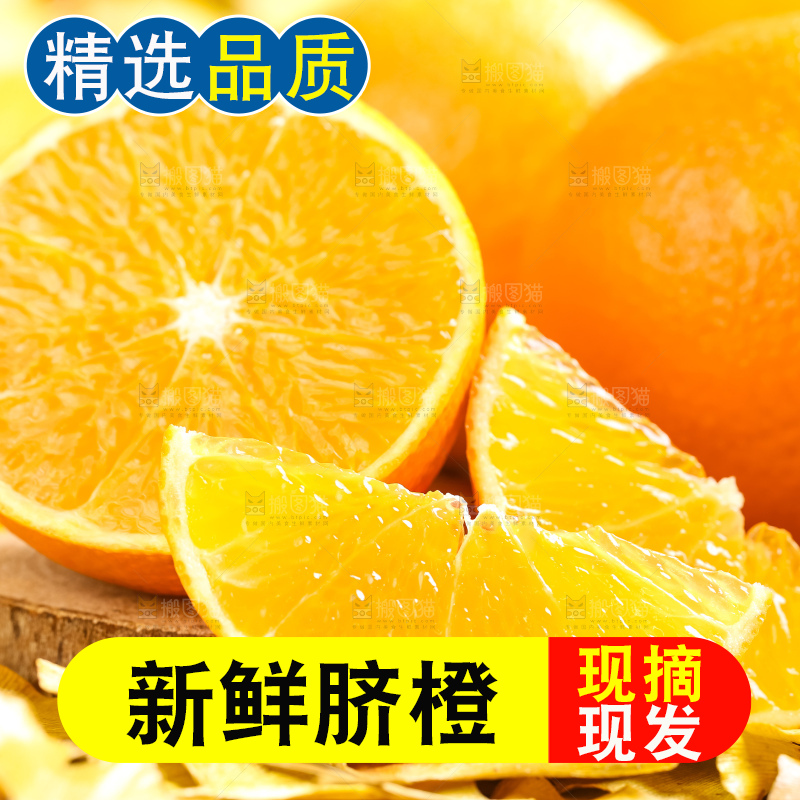 叶子上的新鲜脐橙