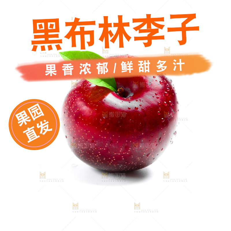 白底上的黑布林