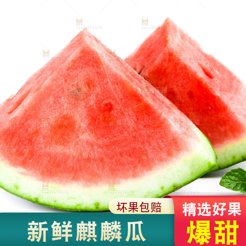白底上放着8424麒麟瓜