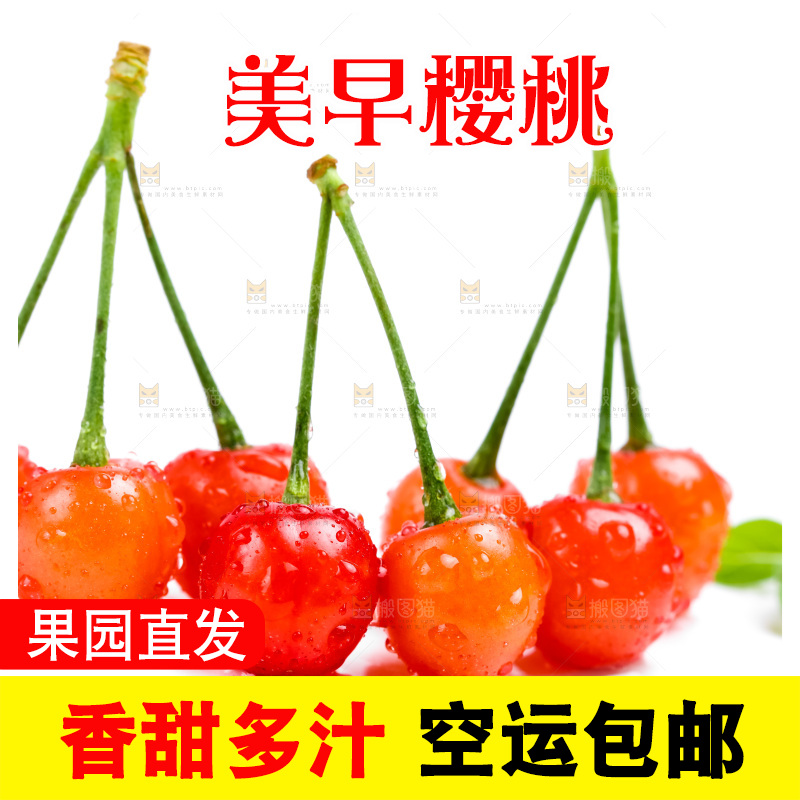白底上的樱桃