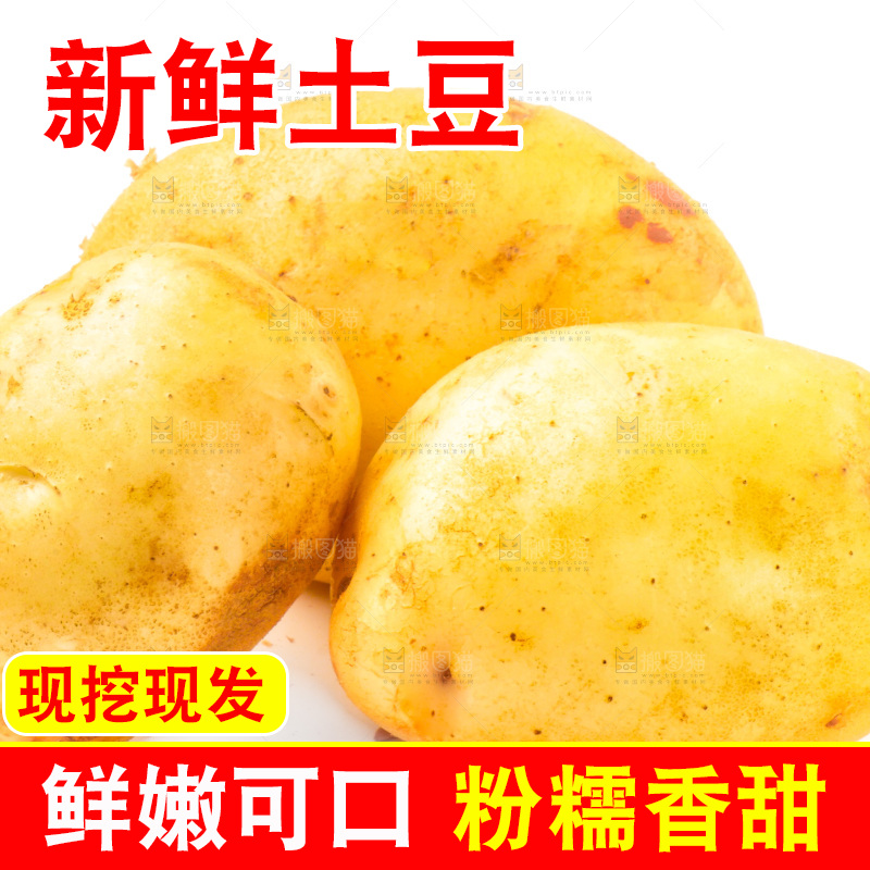 白底上的新鲜土豆