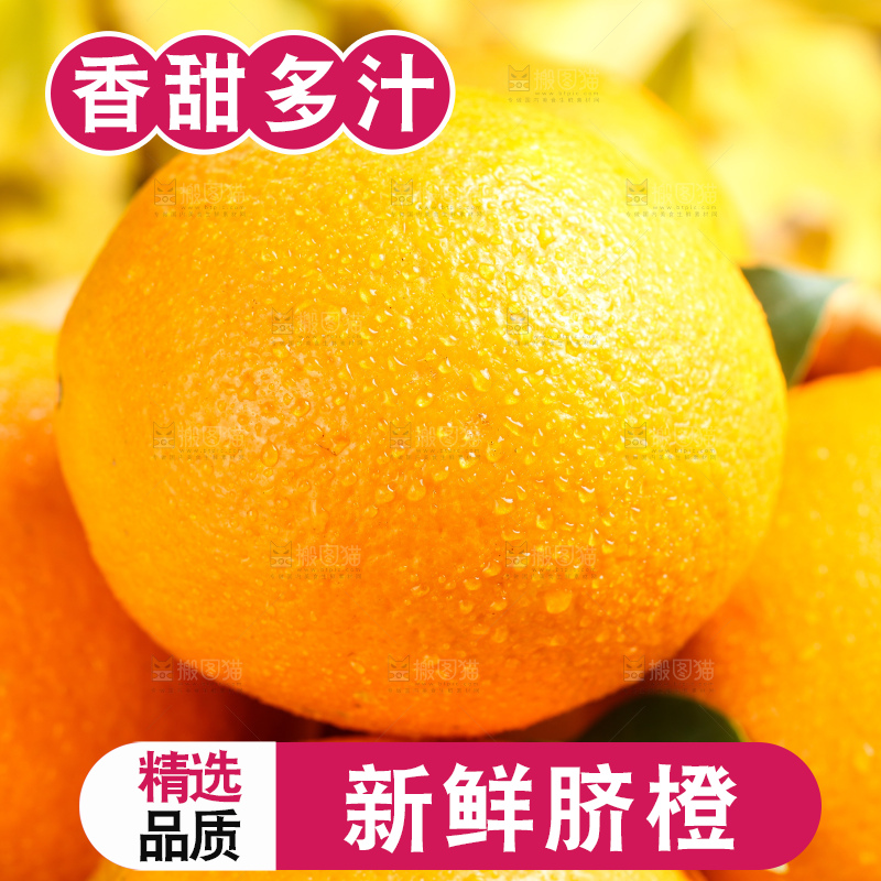 叶子上的新鲜脐橙