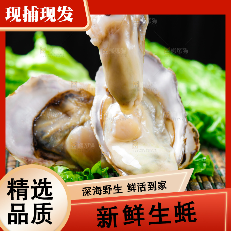 木底上放着生蚝