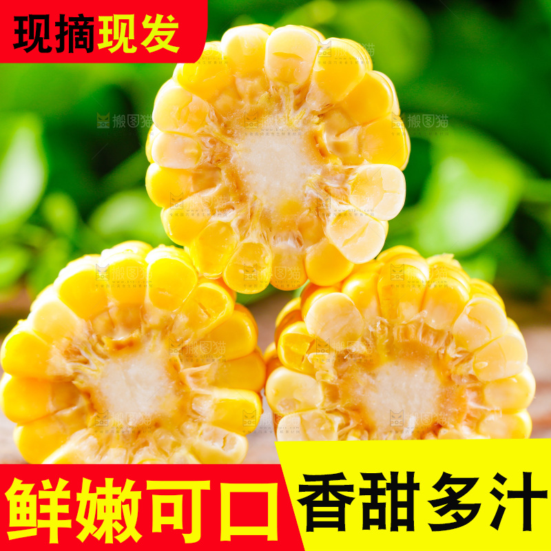 云南水果甜玉米放在木底上