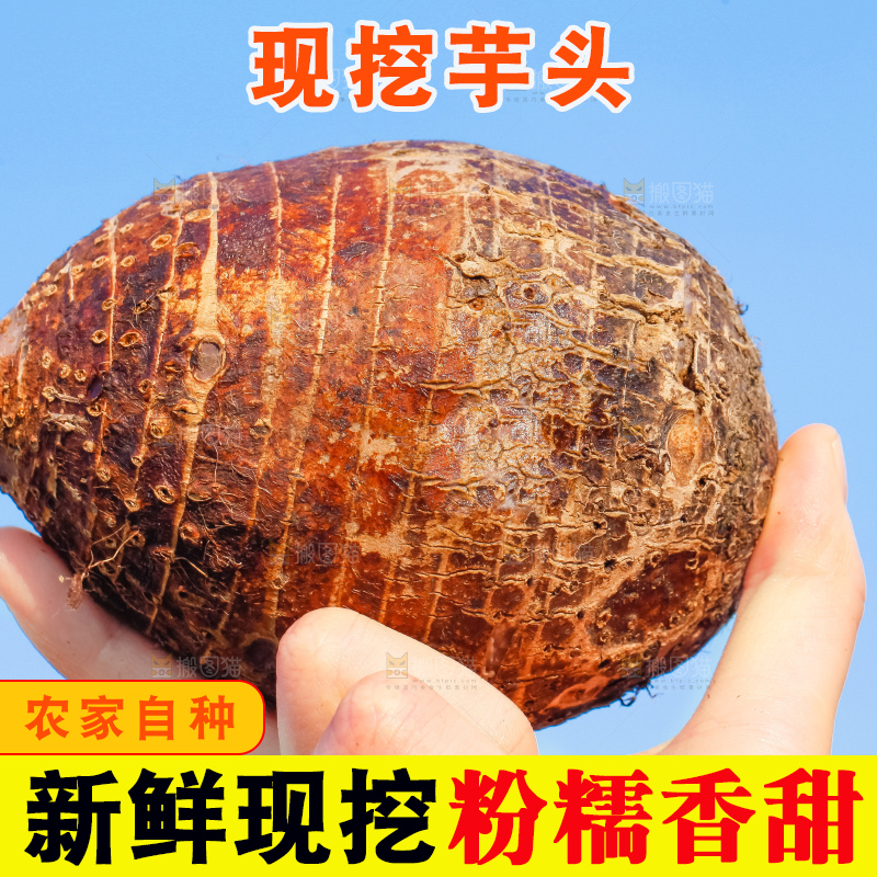 手里拿着紫藤芋头