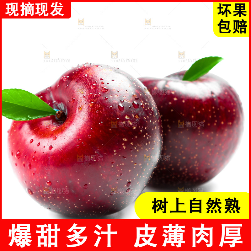 陕西黑布林放在白底上