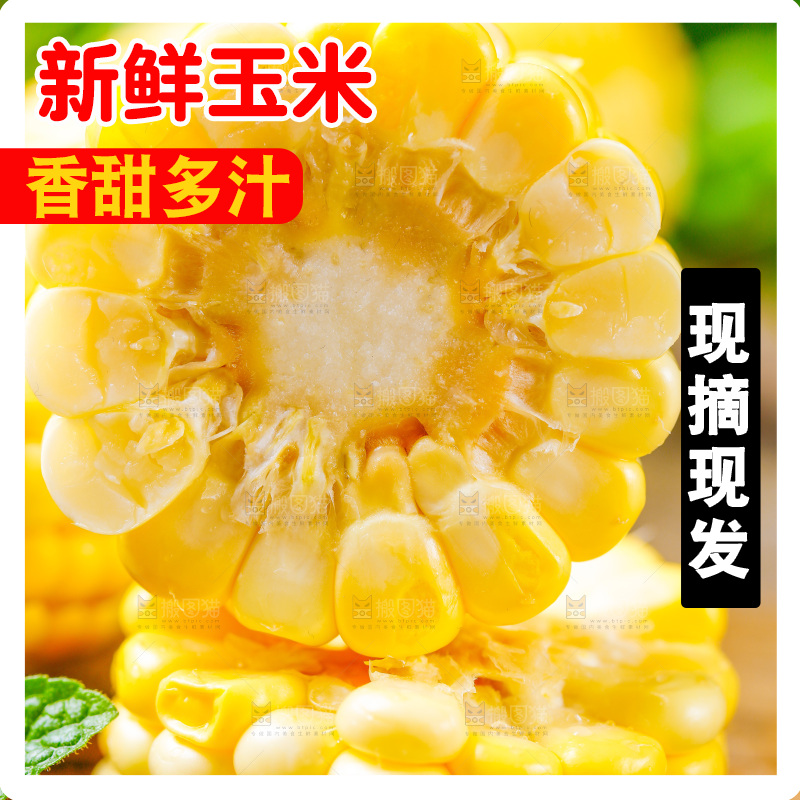 云南水果甜玉米放在木底上