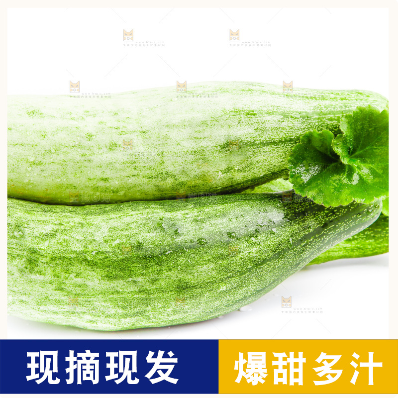 白底上的山东羊角蜜甜瓜