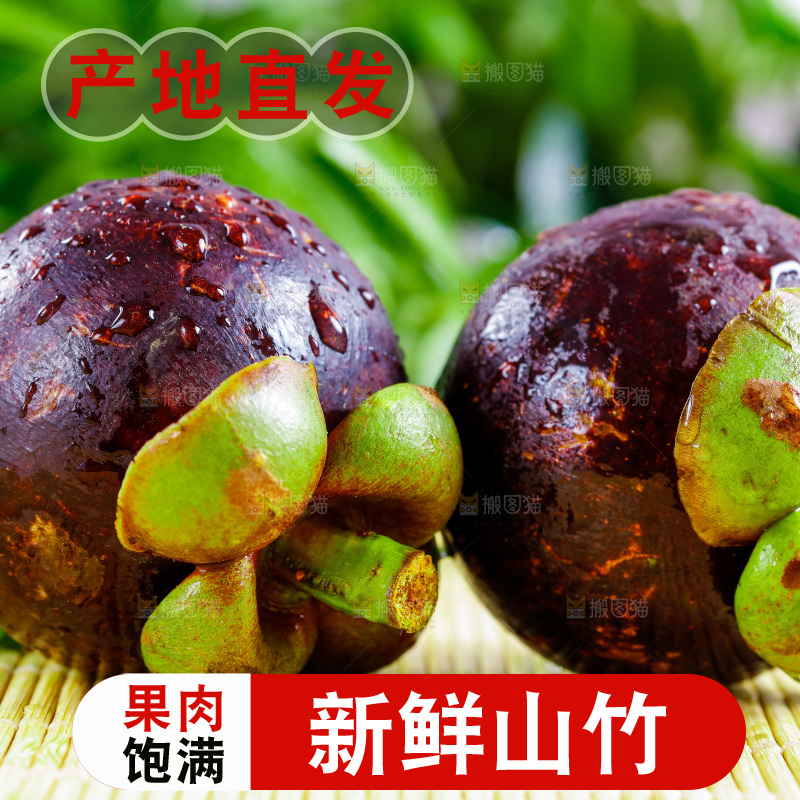 木底上的山竹